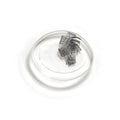 lashsense-lashes-refill-plumeria-4-ct