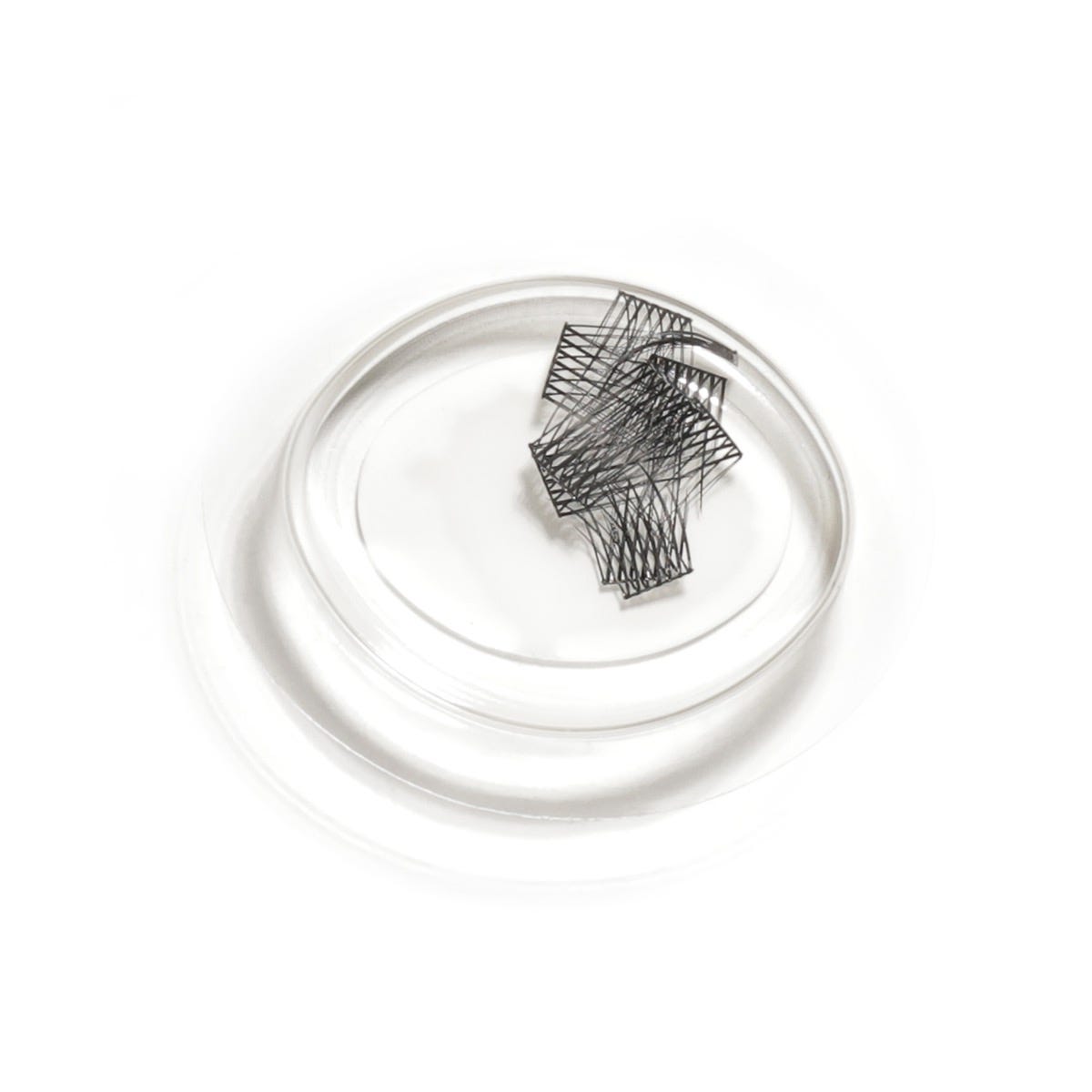 lashsense-lashes-refill-plumeria-4-ct