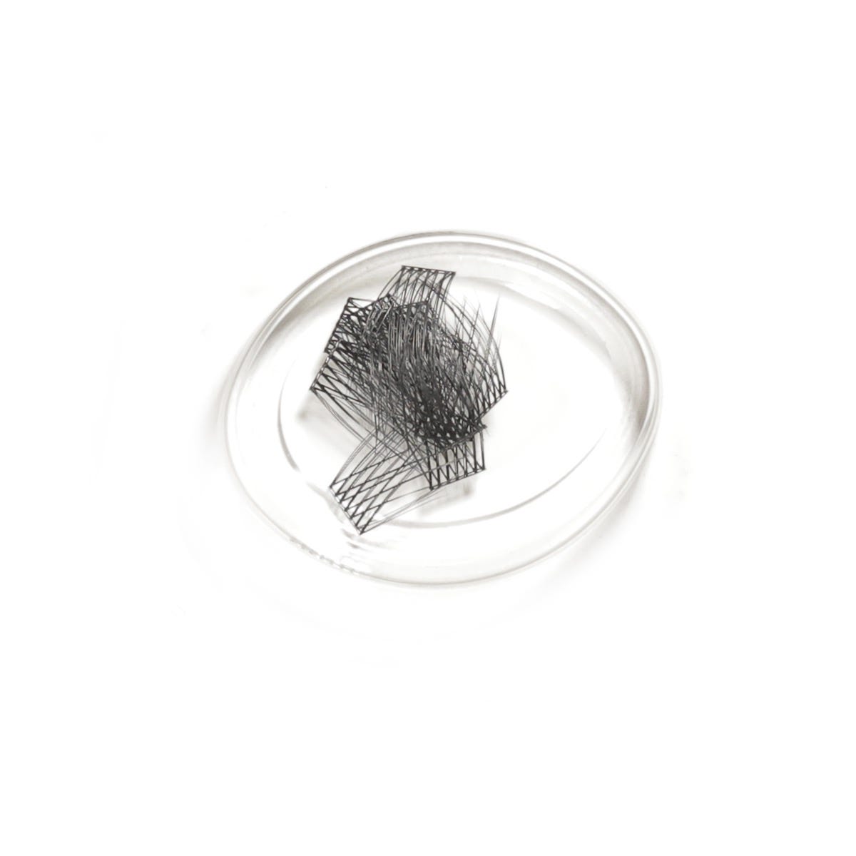 lashsense-lashes-refill-plumeria-4-ct