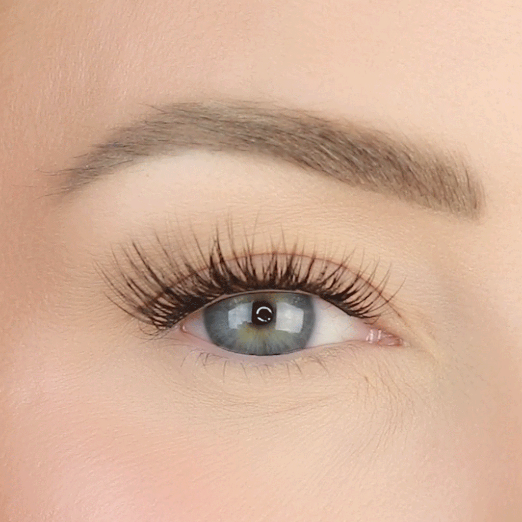 lashsense-lashes-bloom-box