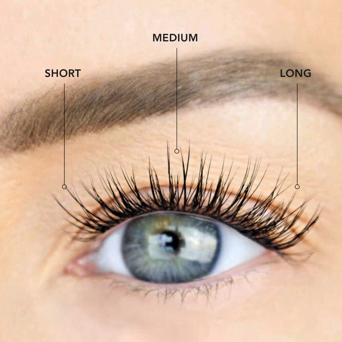 lashsense-lashes-bloom-box